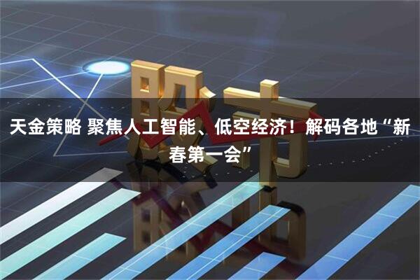 天金策略 聚焦人工智能、低空经济！解码各地“新春第一会”