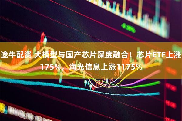 途牛配资 大模型与国产芯片深度融合！芯片ETF上涨175%，海光信息上涨1175%